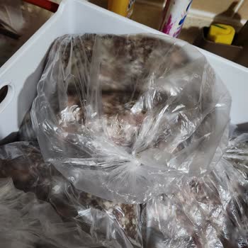 Uğur Derin Dondurucu Etlerimi Bozdu.