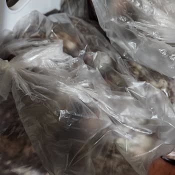 Uğur Derin Dondurucu Etlerimi Bozdu.