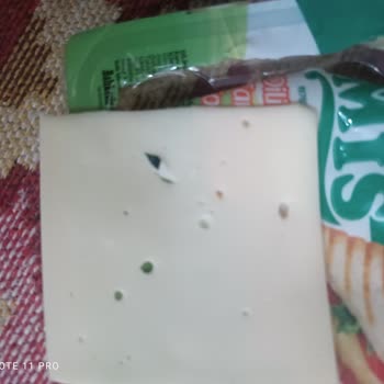 Mis Peynirin İçerisinden Yabancı Cisim (plastik) Çıktı