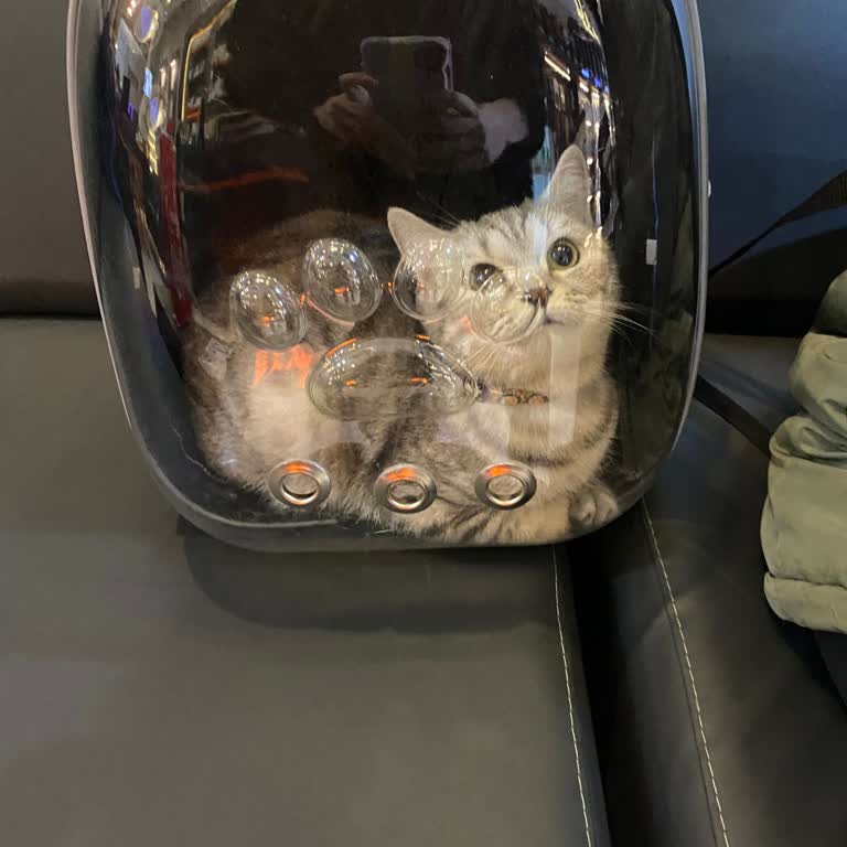 Yanlış Bilgi Ve Pahalı Çanta: Sunexpress Deneyimim