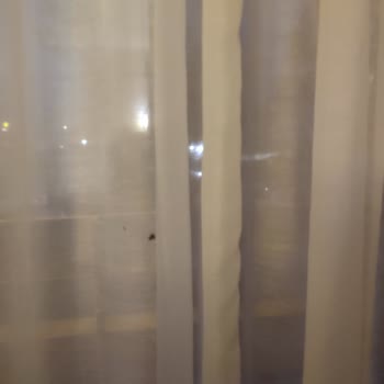 Pronto Tour Bizi Hijyen Dışı Ortamlarda Konaklatıyor