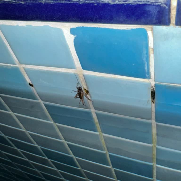 Sueno Hotels Temizlik Ve Hizmet Kalitesi Konusunda Hayal Kırıklığı