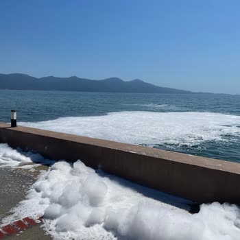 Ephesia Holiday Beach Club Bu Otelin Havuzları Hastalık Saçıyor