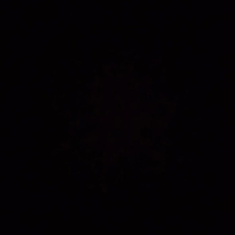 Renault Gülpar Kayseri Talisman Otomatik Şanzıman Problemi