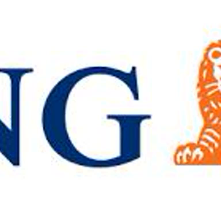 INGBANK Fails to Credit Interest During Holidays