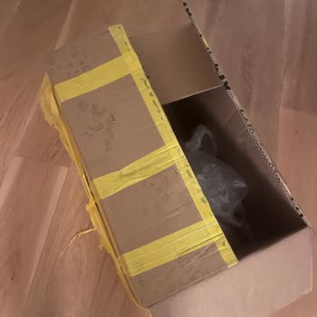 İnter Lojistik Uluslararası Nakliye Kayıp Eşya Sorunu