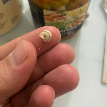 BİM B! M Yurdum Konserve Salyangoz