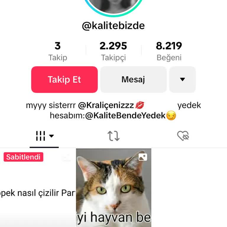 TikTok Sosyal Medyada Dini İçeriklere Saygısızlık