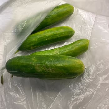 Migros Hemen Siparişimde Yaşadığım Sorunlar Ve İade Talebi