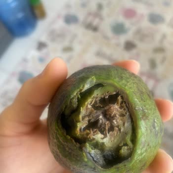 Migros Sanal Marketten Gelen Çürük Kırık Ürünler