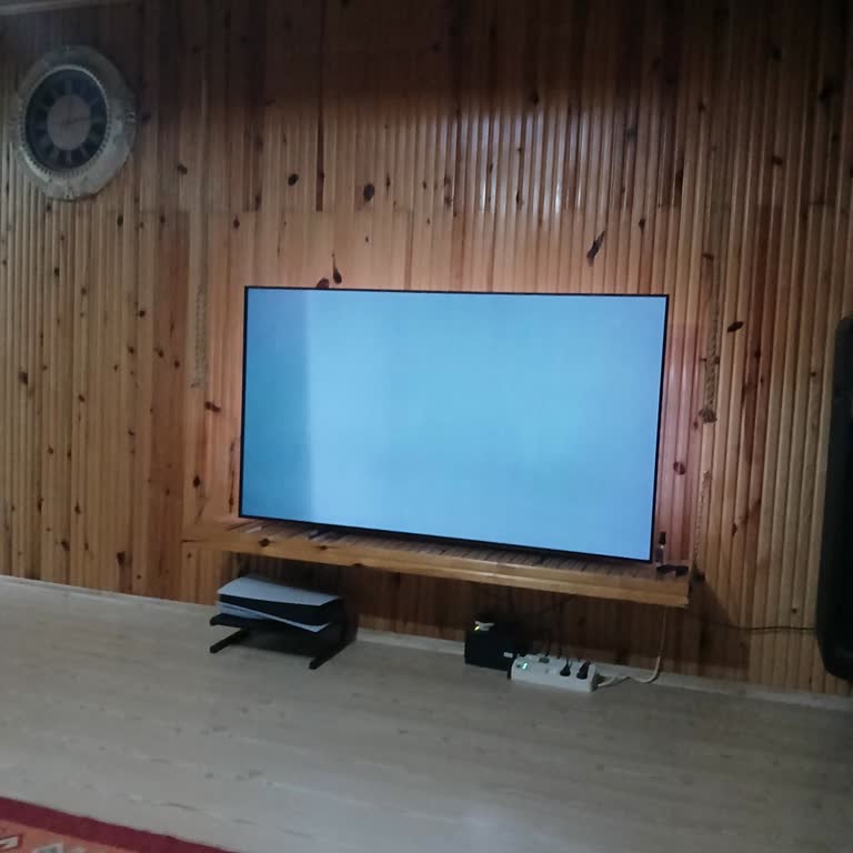 PHILIPS TV Philips Oled Yanığı