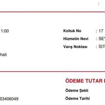 Pamukkale Turizm Hijyen Ve Hizmet Sorunlarıyla Dolup Taşan Biga-İstanbul Yolculuğu