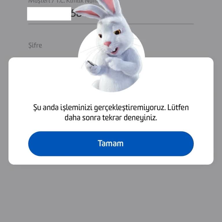 Fibabanka Mobil Giriş Yapamıyorum