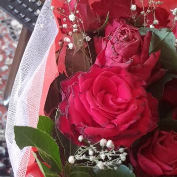 ÇiçekSepeti Çiçek Sepetinin Fiyaskosu!