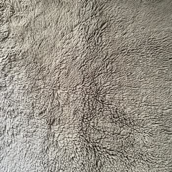 Tuğra Halı, Fatih Gençler Halı Şikayeti