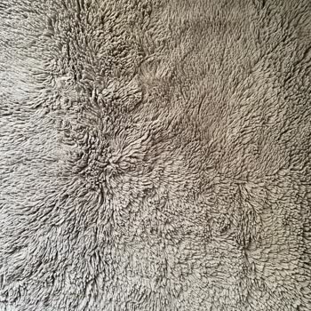 Tuğra Halı, Fatih Gençler Halı Şikayeti