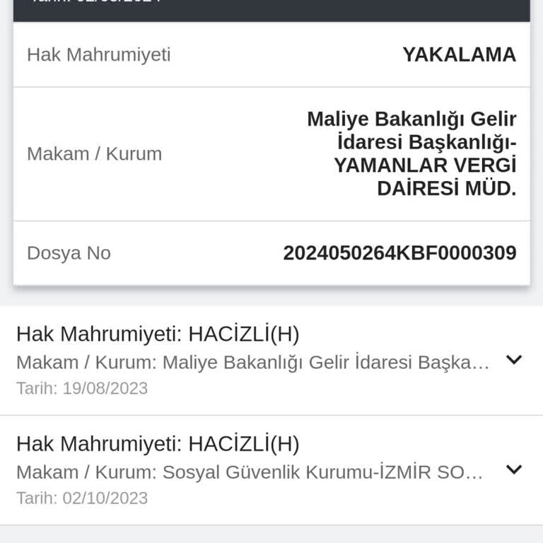 E-Devlet (Turkiye.gov.tr) Sistemde Sorun