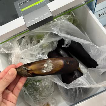 Bosch Buzdolabı Çok Kötü İlgilenilmiyor