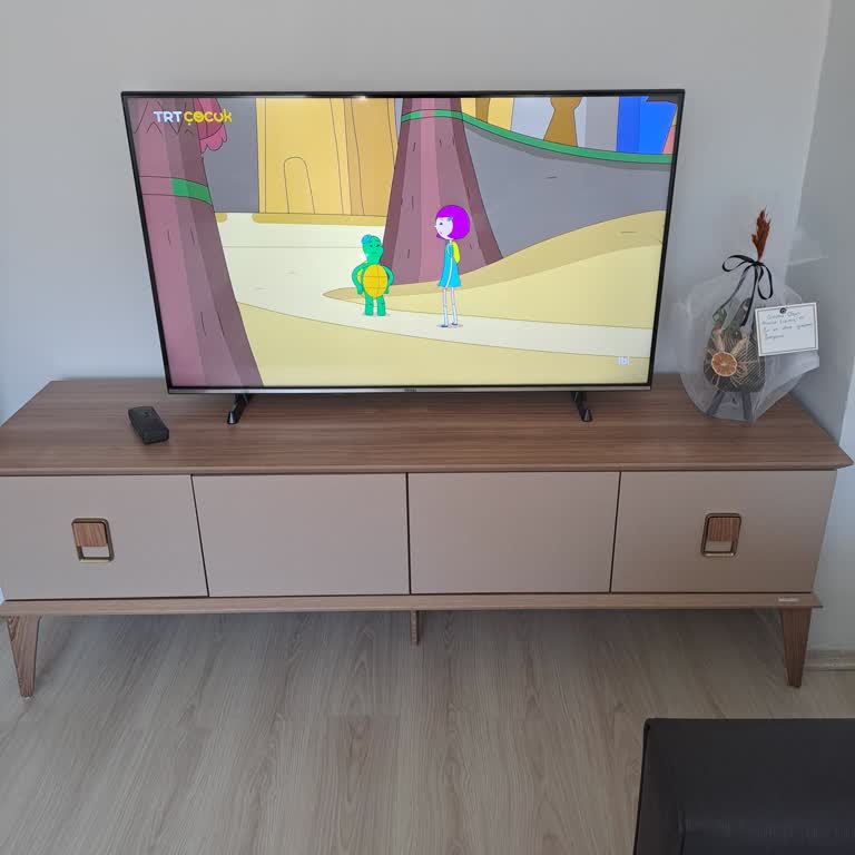 Vestel 50 İnç TV Duvar ASKİ Aparatı Problemi!