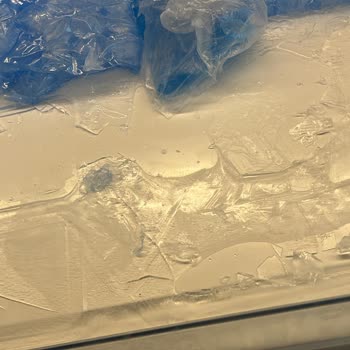 Bosch Series 8 Buzdolabı Derin Dondurucu Soğuyamıyor