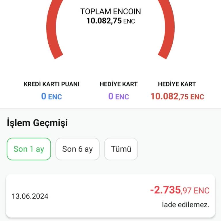 Enuygun İade Zorluğu
