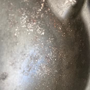 Kumtel Airfryer Alt Haznesi Küflendi