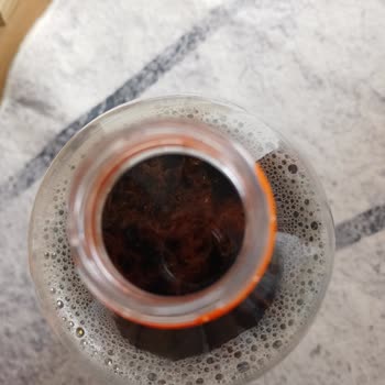 Çaykur Didi Yosun Tutmuş Resmen