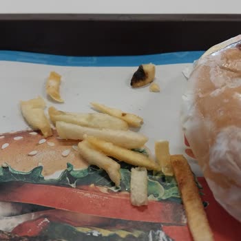 Burger King Hamburgerin Yağlı Ve Mayonezi Bol Olması