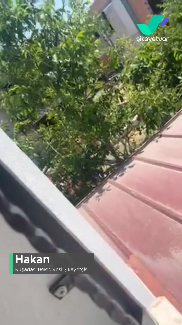 Kuşadası Belediyesi Kanunsuzluğa Son Sürat Göz Yumuluyor! videonun kapak resmi