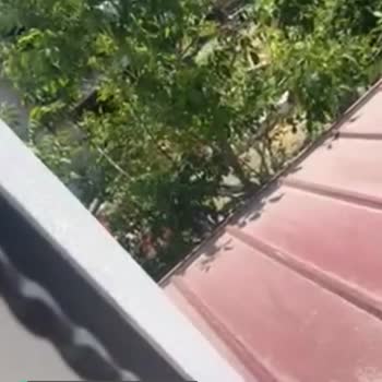 Kuşadası Belediyesi Kanunsuzluğa Son Sürat Göz Yumuluyor!