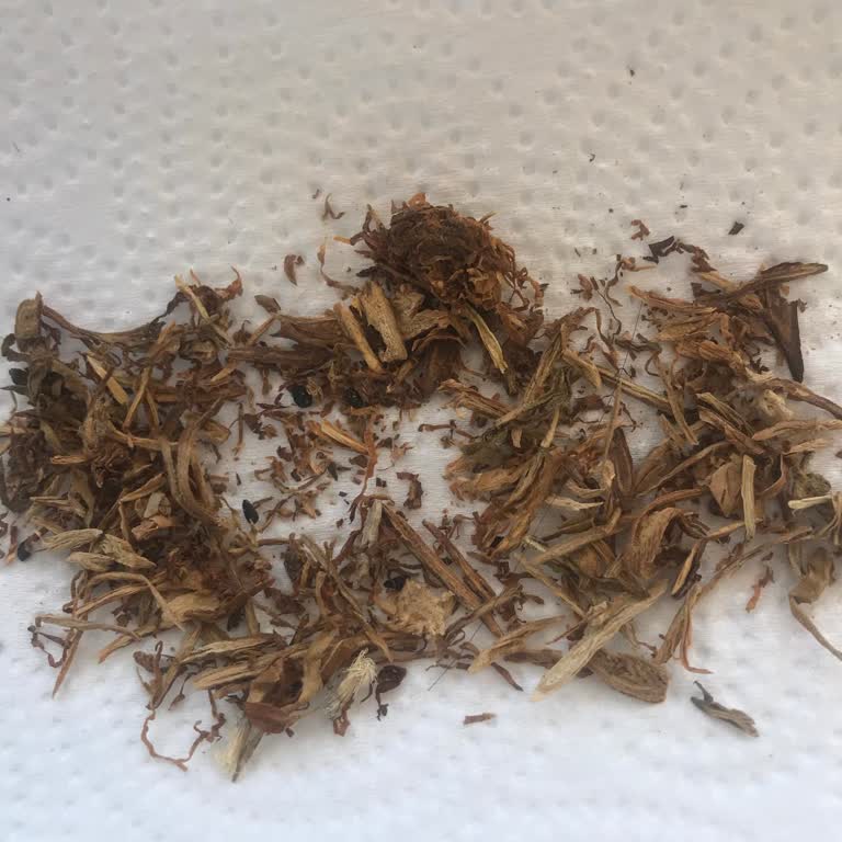 Marlboro Tütündeki Çöpler