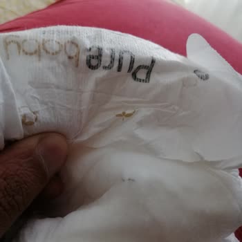 Purebaby Bez Zımbaya Benzer Parça