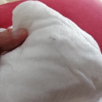 Purebaby Bez Zımbaya Benzer Parça