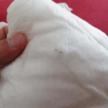 Purebaby Bez Zımbaya Benzer Parça