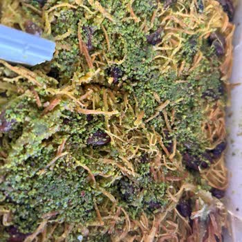 Seç Baklavaları Online Sipariş Sıkıntısı