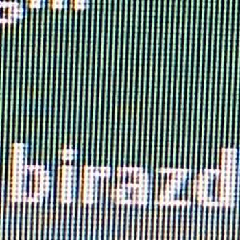 ROBLOX Swear My Country