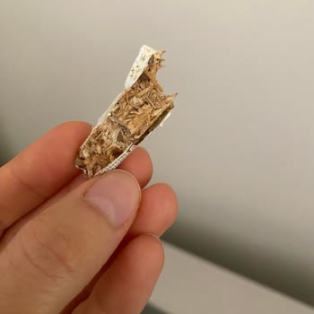 Kelebek Mobilya Suntalar Parçalanıyor Vidalar Çıkıyor Paramız Çöp
