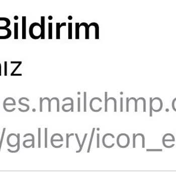 Bizim Hesap Sahte Fatura Maili