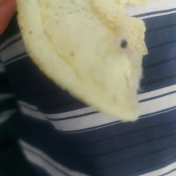 BİM Mağazalarından Alınan Cips Paketinden Kıl Ve Tüy Çıkmıştır