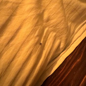 Безответственность приложения Agoda