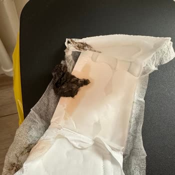 Molped Ürününde Beklenmedik Bir Durumla Karşılaştım