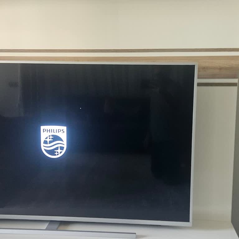 PHILIPS TV Philips Siyah Ekran