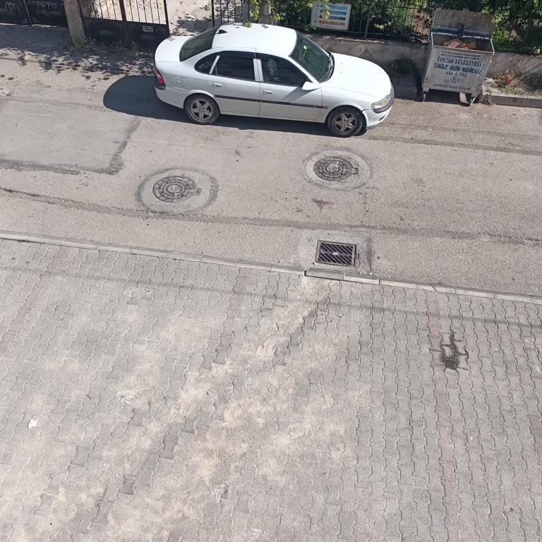Böcek İlaçlama (bocekilaclama.xyz) İlaçlama Karaböcekler İçin