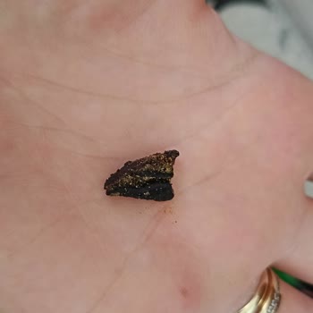 Doritos Cipsin İçinden Siyah Bir Şey Çıktı