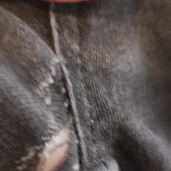 Pierre Cardin Giyim Pierre Cardin Pantolon 3 Ayda Yırtıldı.