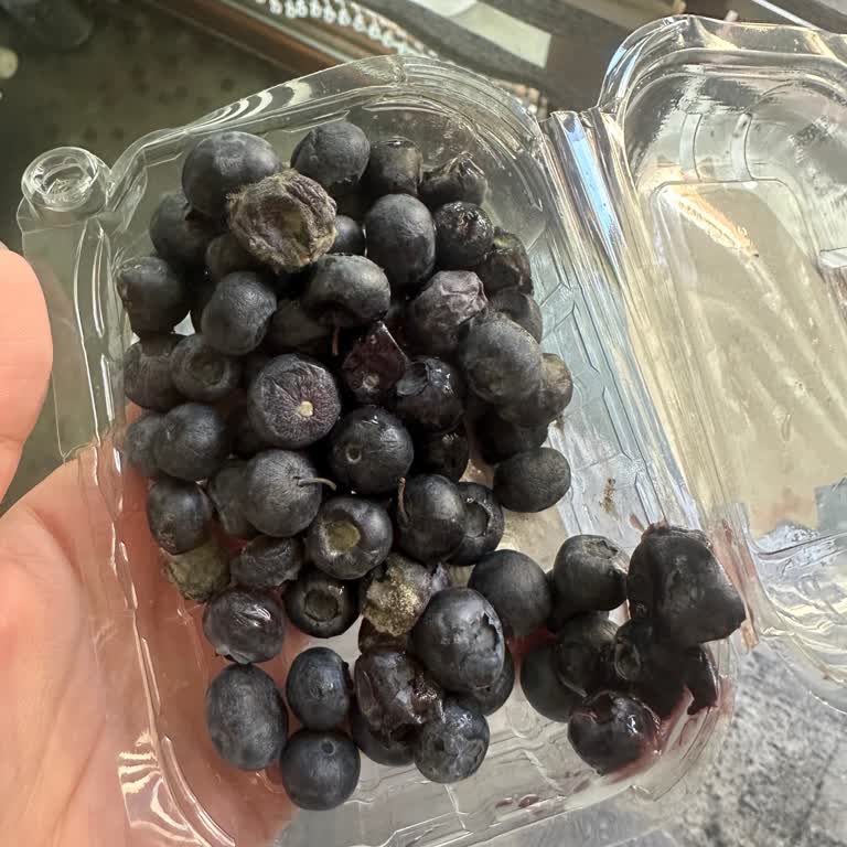 Migros Siparişim Çürük Geldi