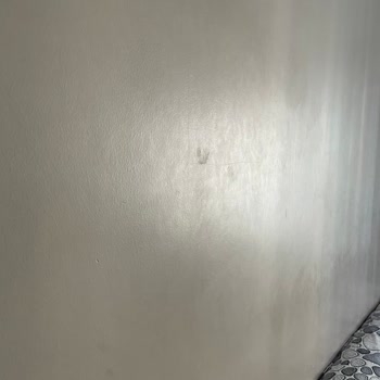 Marshall Sil Pak Serisi İz Ve Pis Görüntü