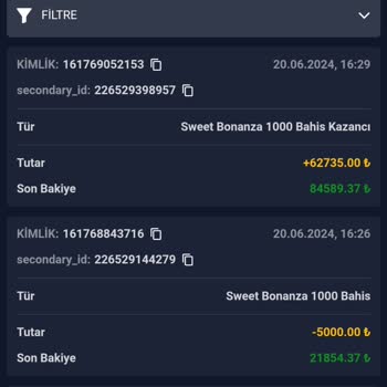 Betmoon Kazancımın Silinmesi Ve Çözüm Bulunamaması