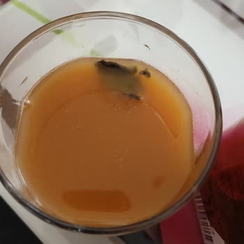 Cappy Şeftali Meyve Suyu