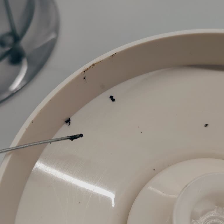 Arzum Ürünün Arkasında Dur